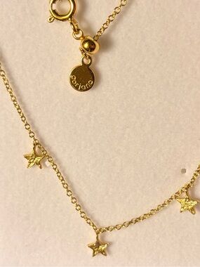 ⭐️Gorjana Super Star Flutter Necklace⭐️